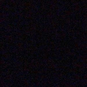 Meet your Posher, Rodrick